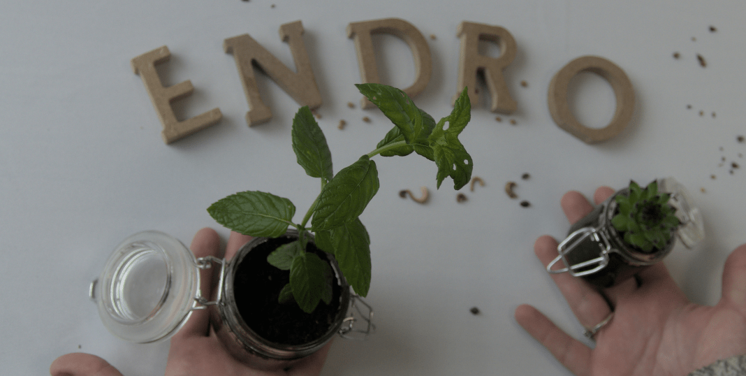 Endro participe à des projets de reforestation 🌳 - Endro Cosmetiques